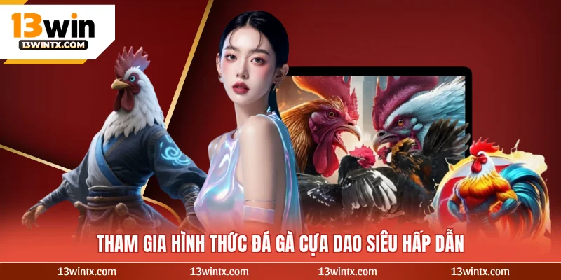 Tham gia hình thức đá gà cựa dao siêu hấp dẫn 